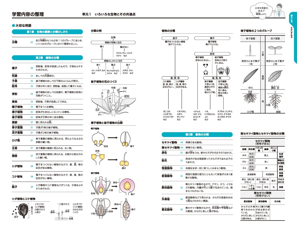 いろいろな生物とその共通点