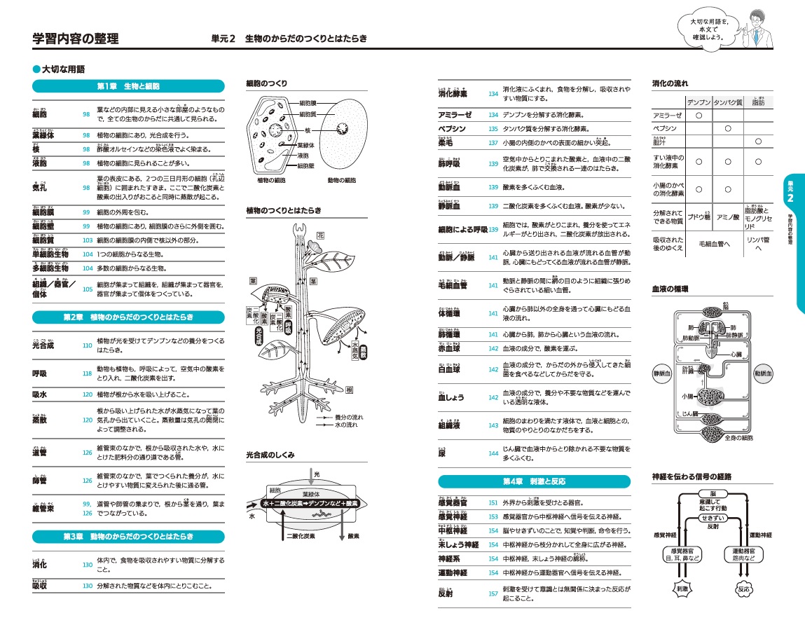 生物のからだのつくりとはたらき