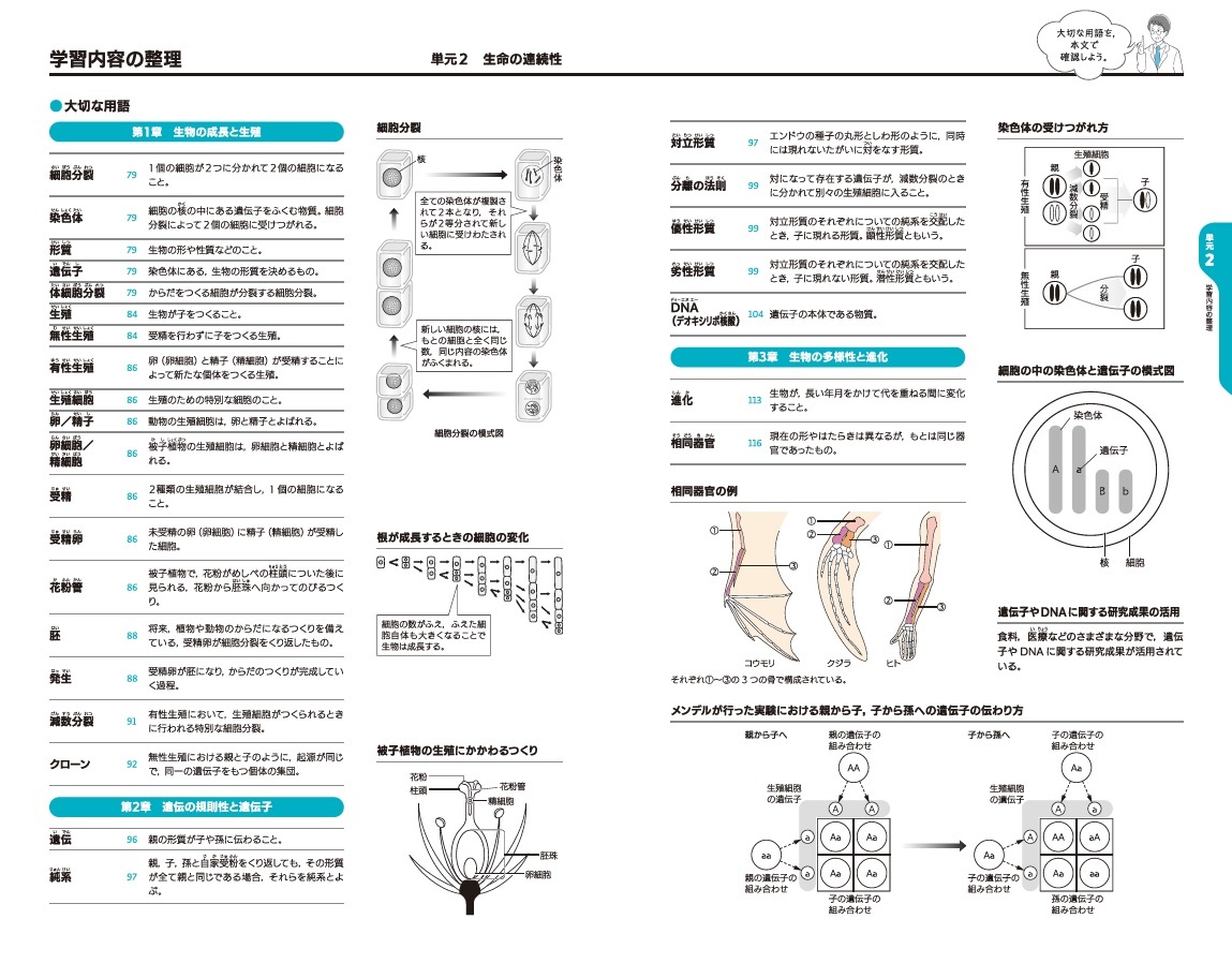 生命の連続性