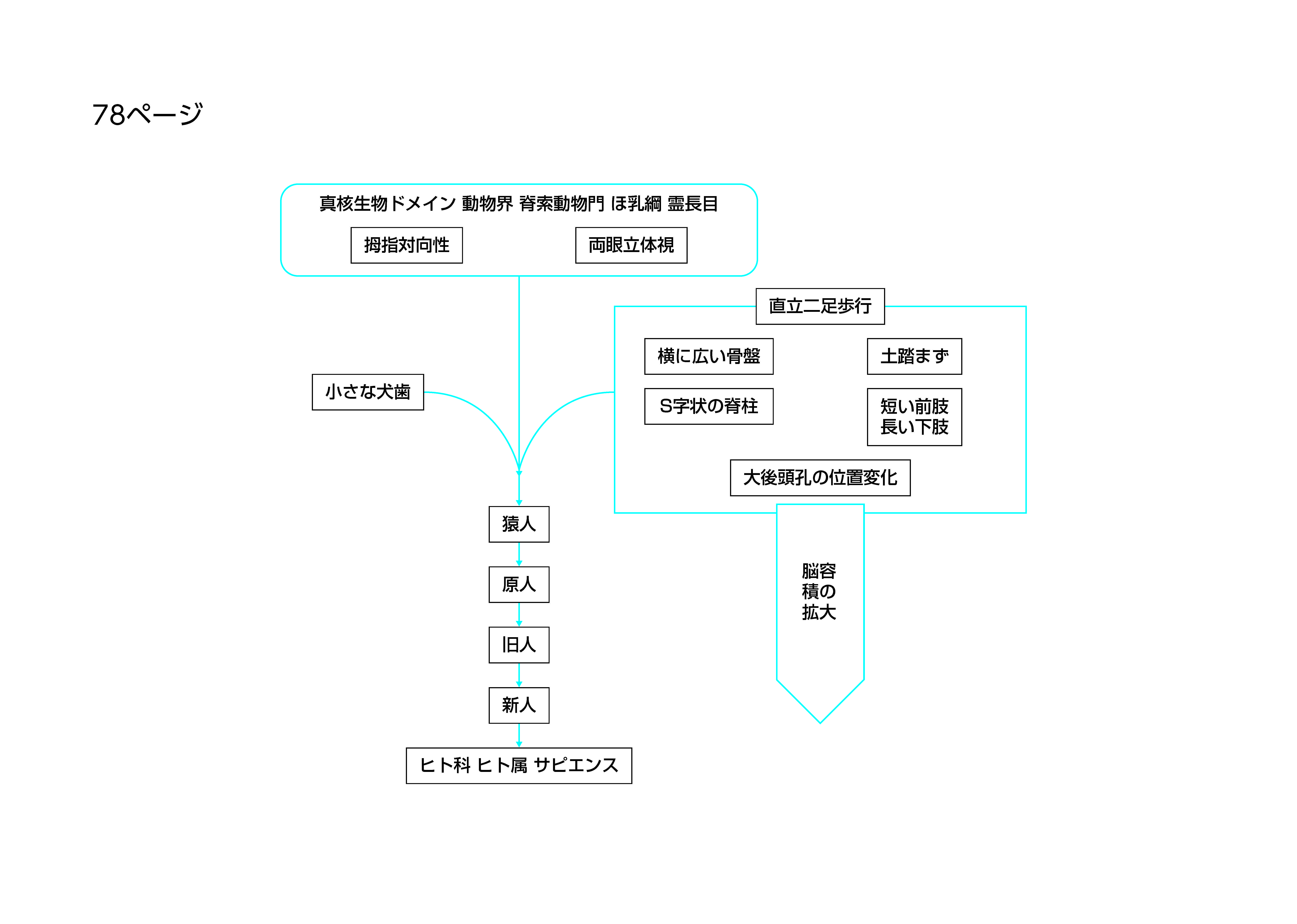 書いてみようの作成例