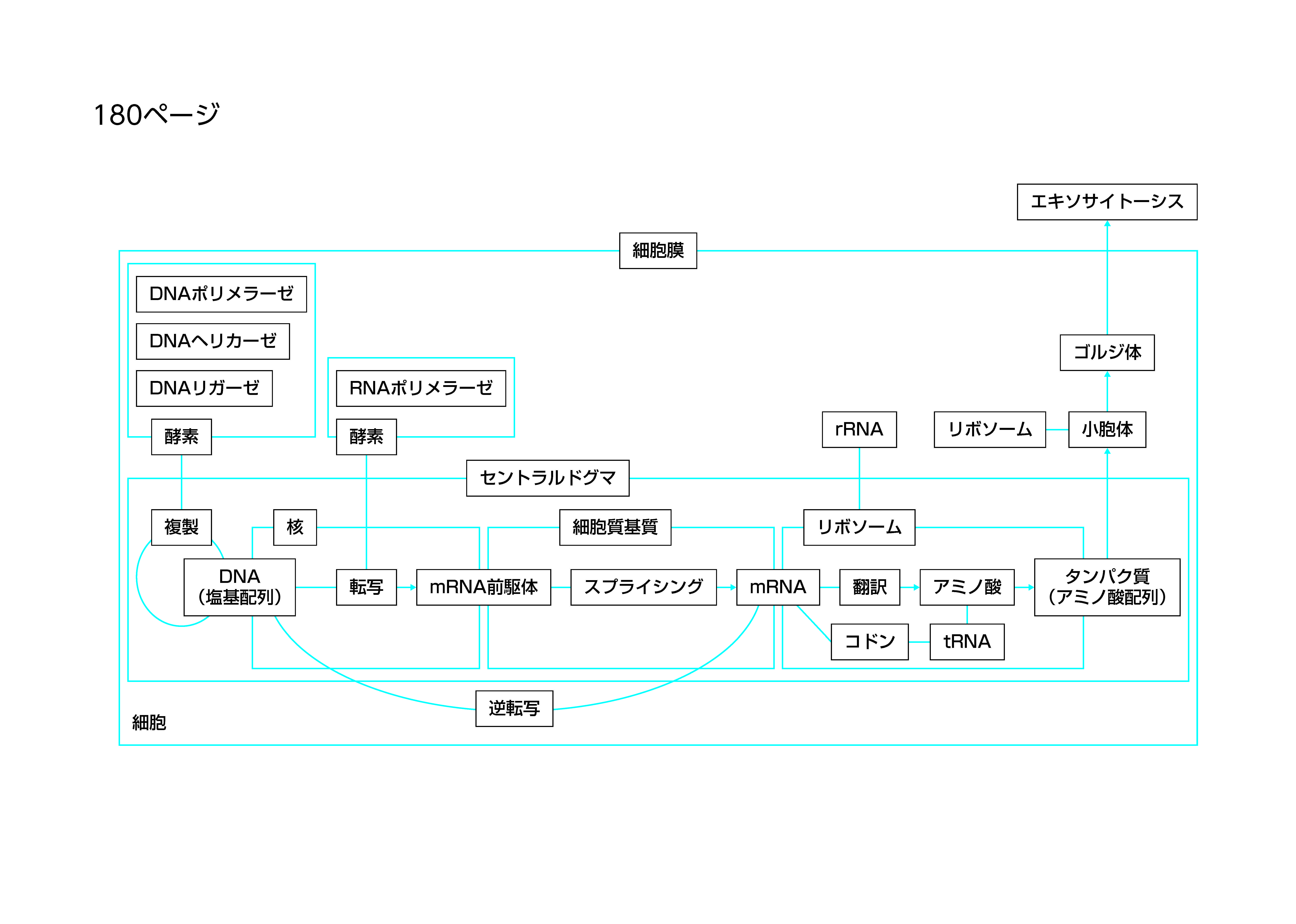 書いてみようの作成例