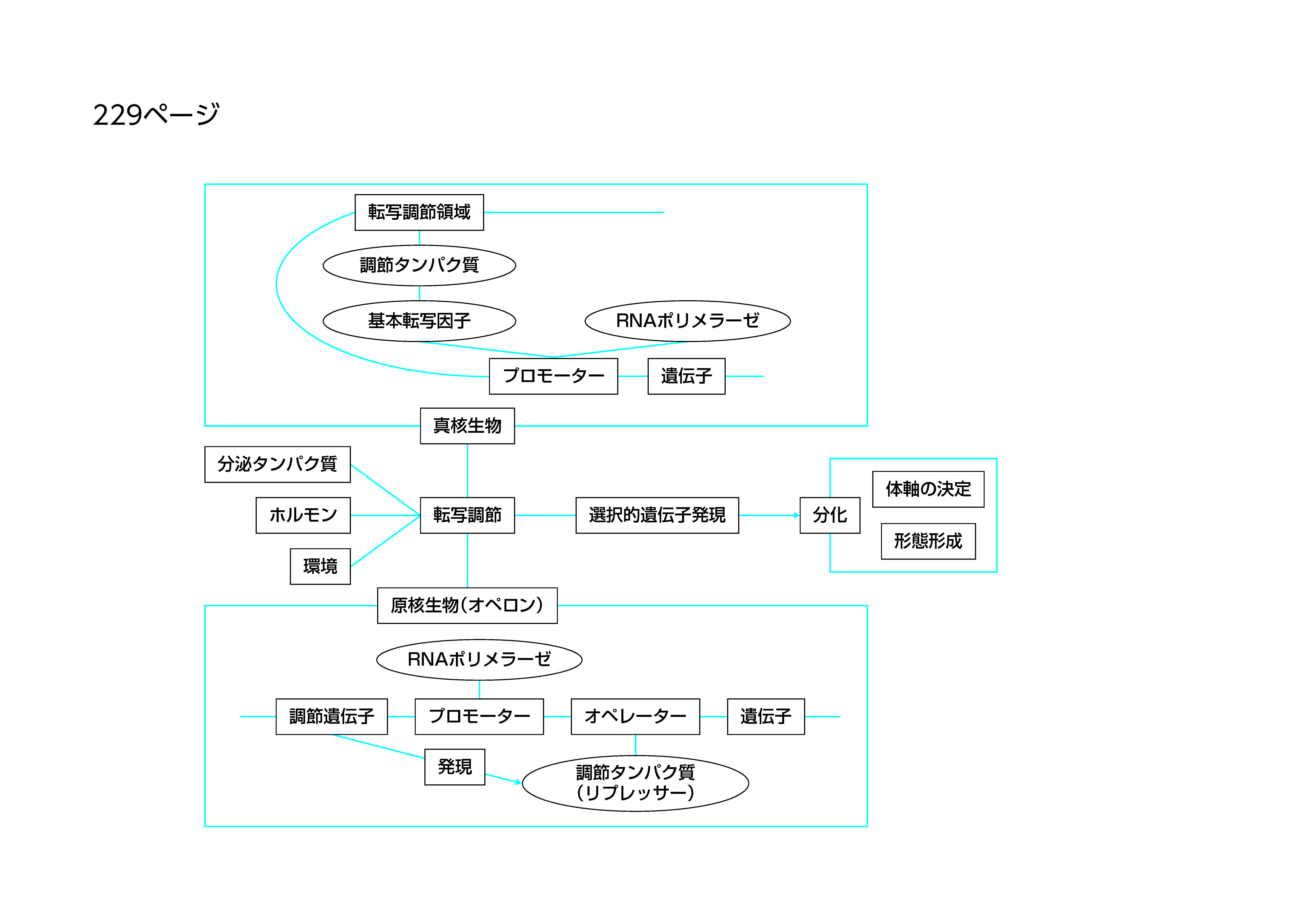 書いてみようの作成例