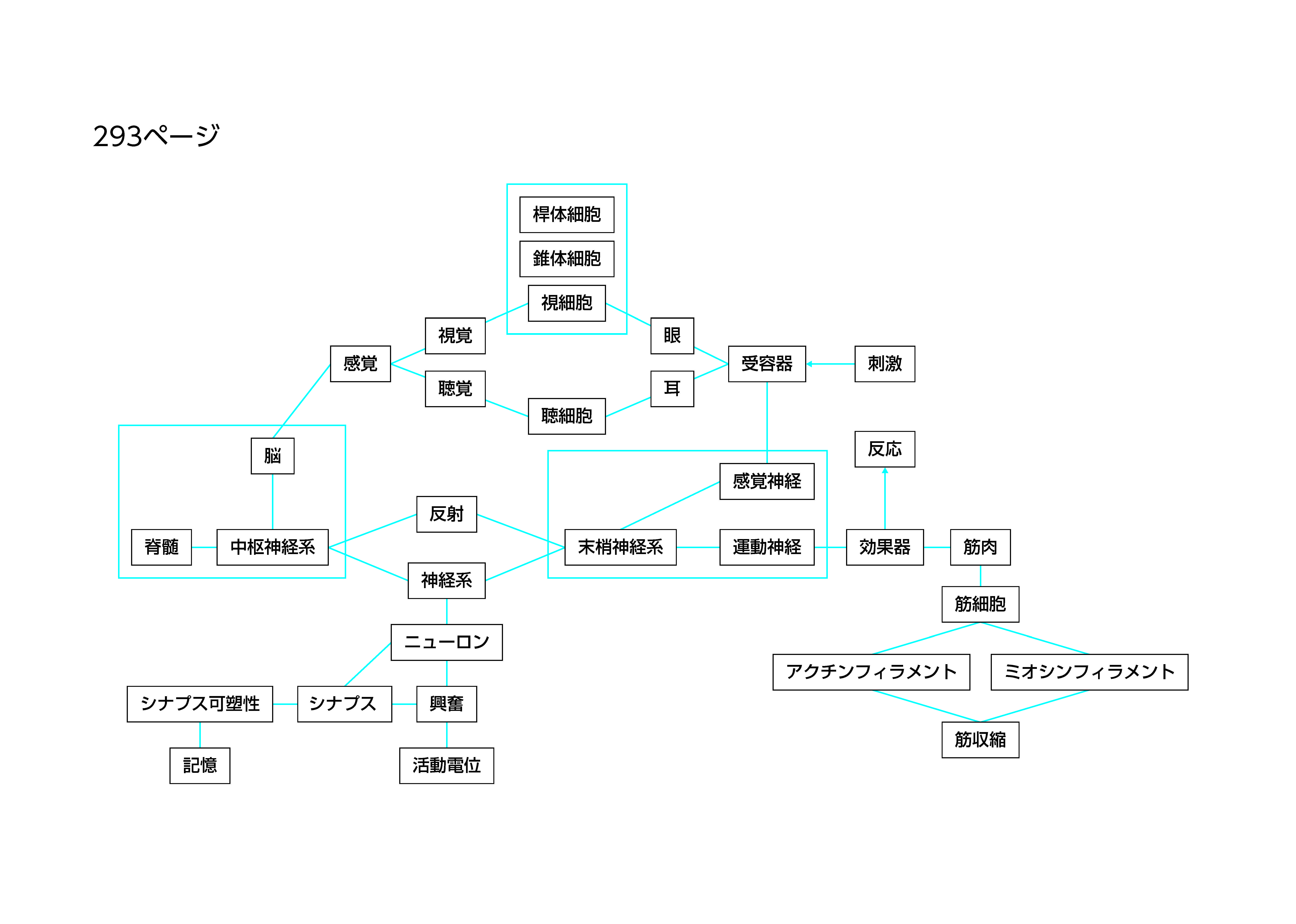 書いてみようの作成例