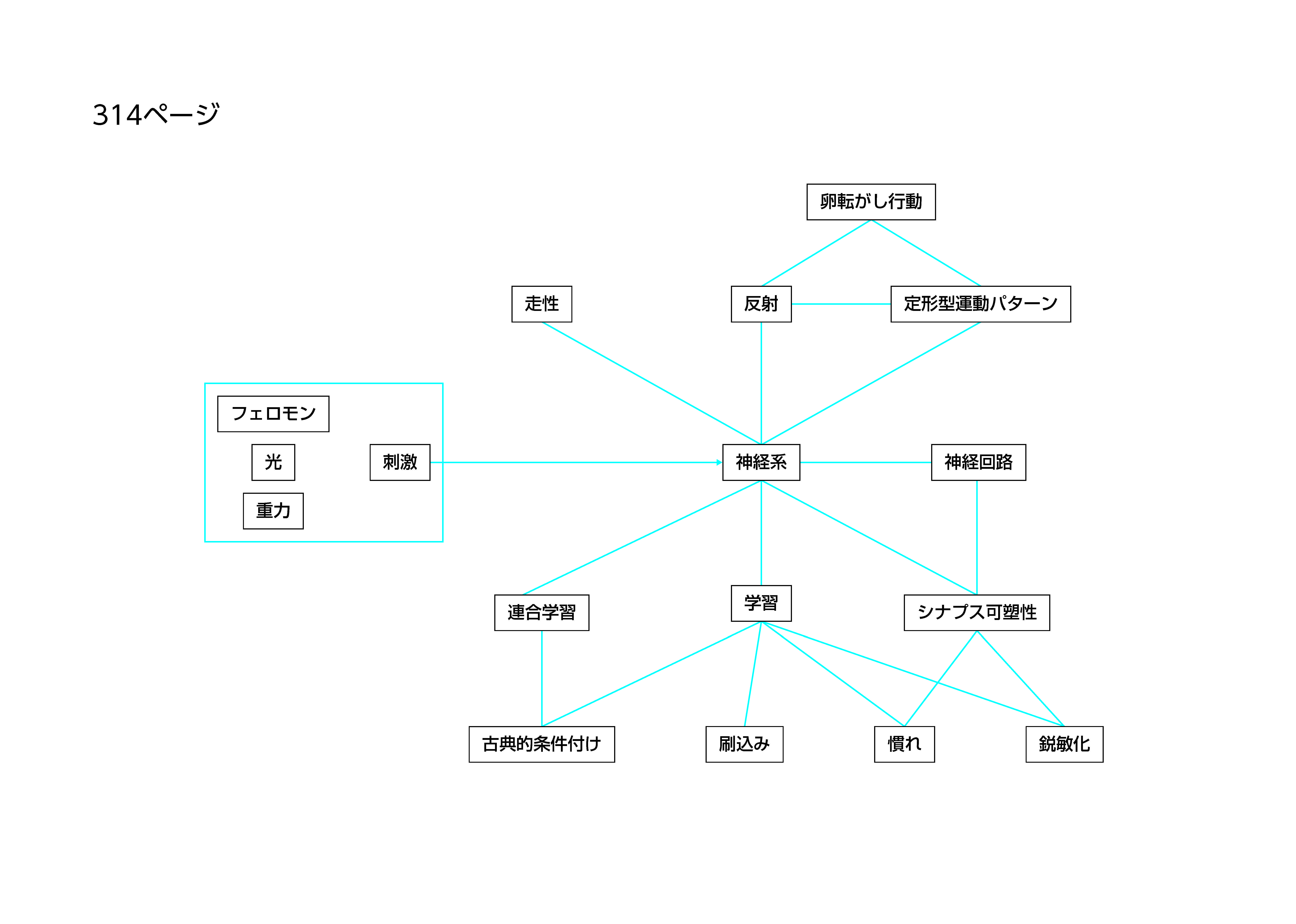 書いてみようの作成例