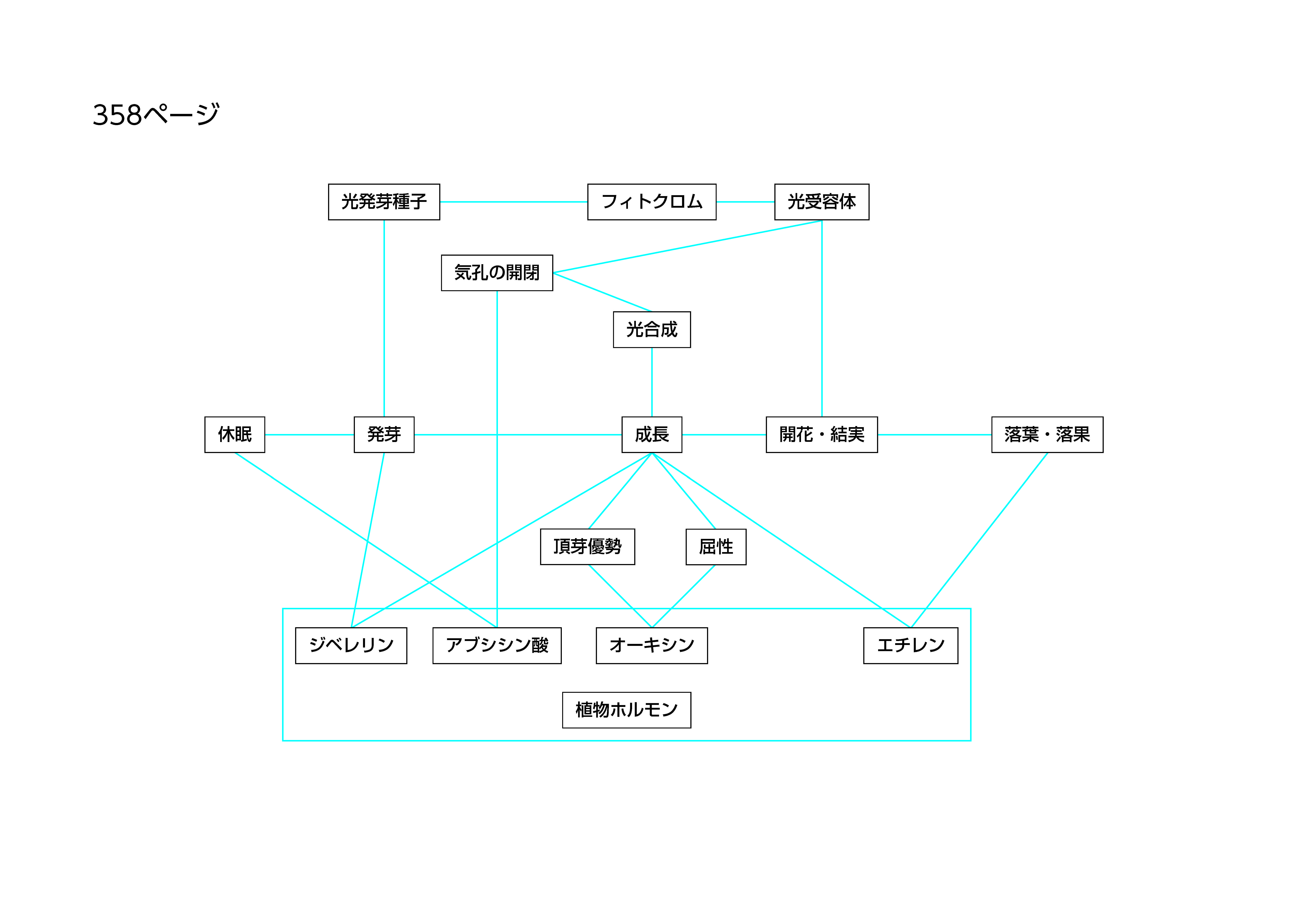 書いてみようの作成例